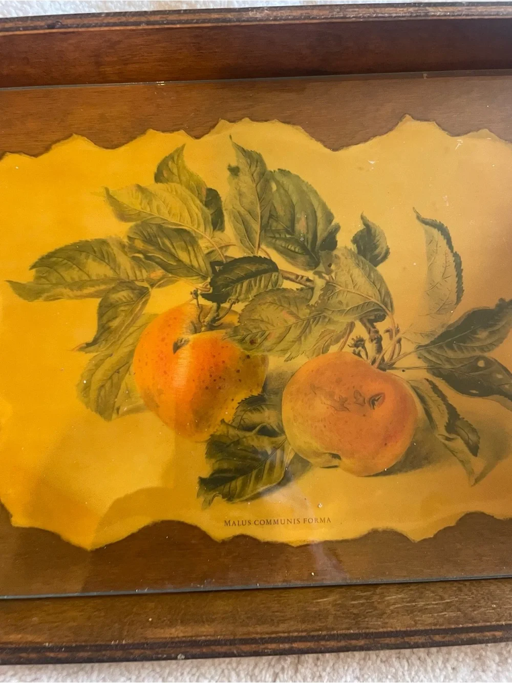 Wooden Serving Tray with Peach Artwork - Brown handcrafted